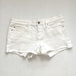 Gap 1969 Summer Cut Offs Short Size 26
